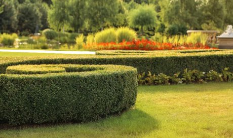 Comment avoir un beau jardin sans entretien ?